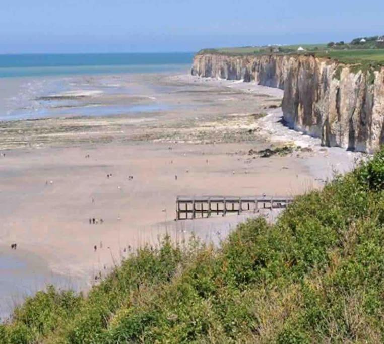 Superbe Appartement Entre Mer Et Ville Dieppe Ngoại thất bức ảnh